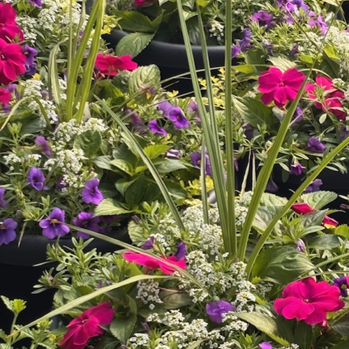 otter greenhouse planters