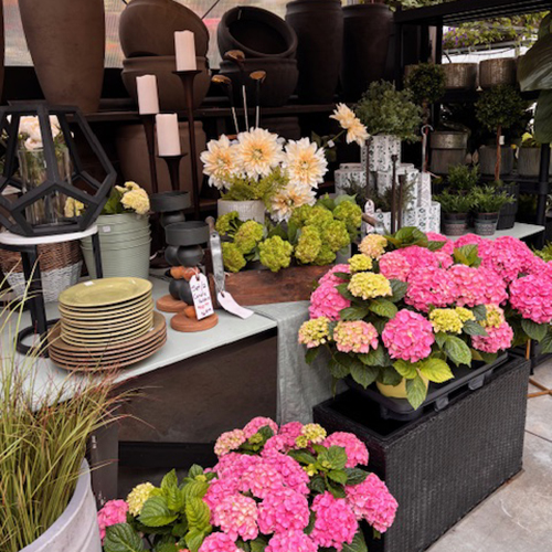 otter greenhouses plant decor